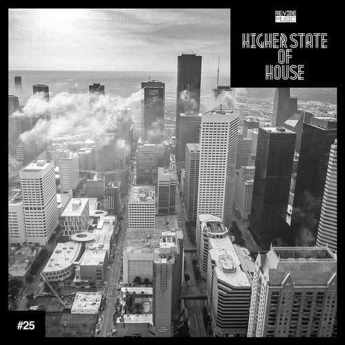 Various Artists-Higher State of House, Vol. 25