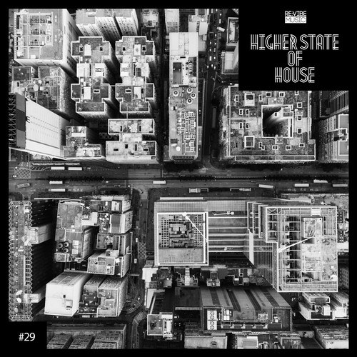 Various Artists-Higher State of House, Vol. 29