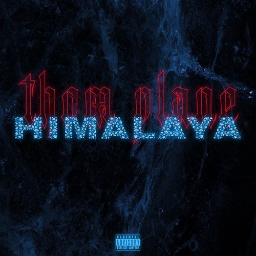 Thom Plane-Himalaya