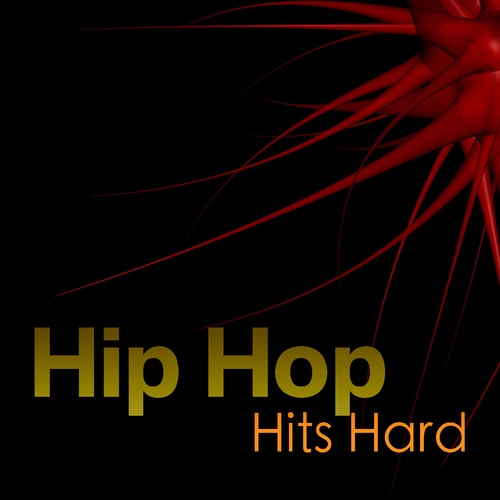 Various Artists-Hip Hop Hits Hard