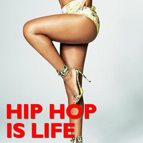 Various Artists-Hip Hop Is Life