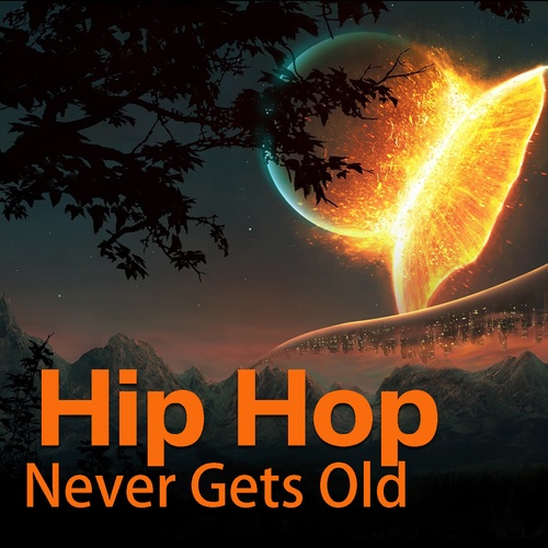 Various Artists-Hip Hop Never Gets Old