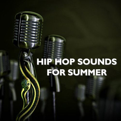 Various Artists-Hip Hop Sounds For Summer
