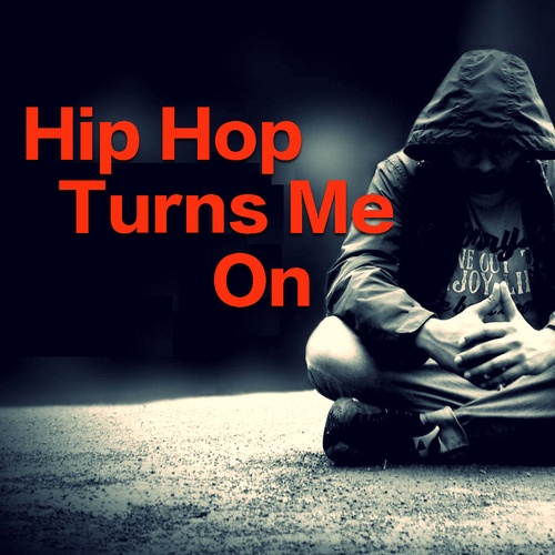 Various Artists-Hip Hop Turns Me On
