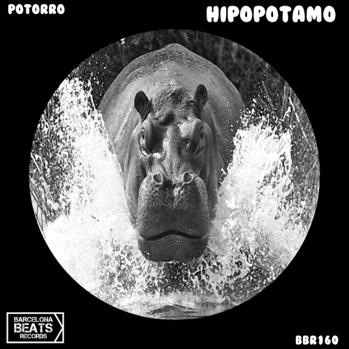 Potorro-Hipopotamo