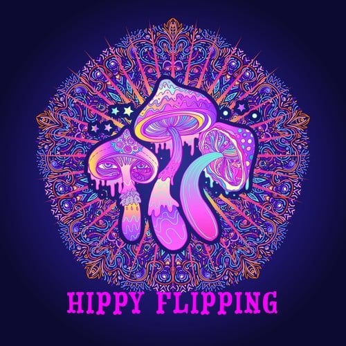 Various Artists-Hippy Flipping (Melodic House and Tech)