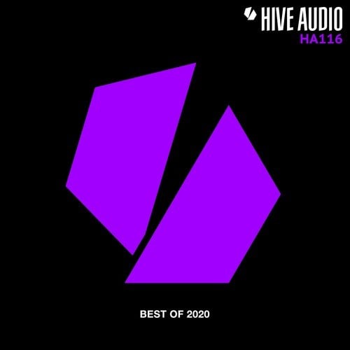 Various Artists-Hive Audio - Best of 2020