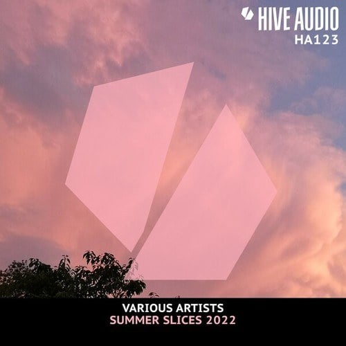 Various Artists-Hive Audio - Summer Slices 2022