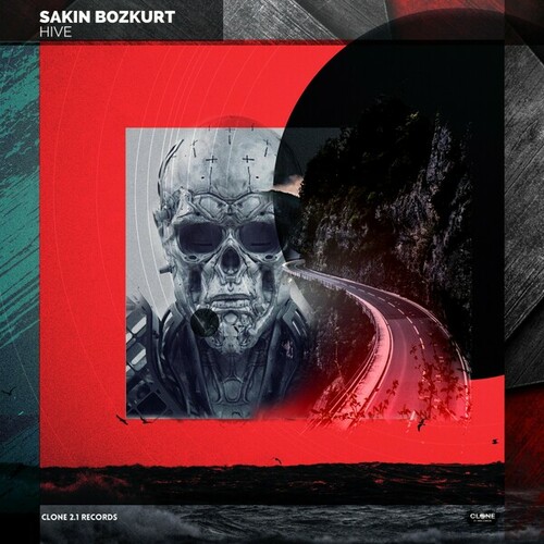 Sakin Bozkurt-Hive