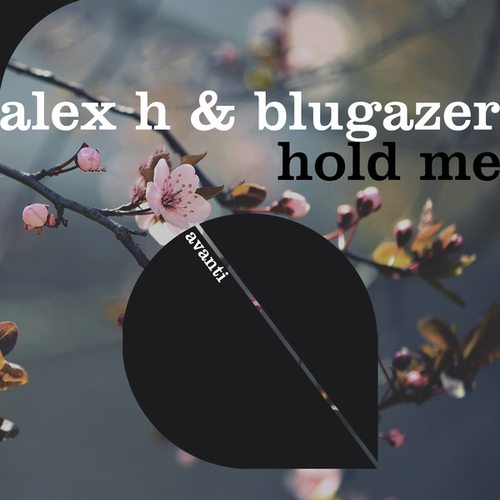 Alex H, Blugazer-Hold Me