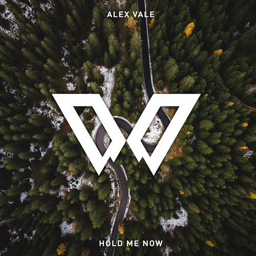 Alex Vale-Hold Me Now