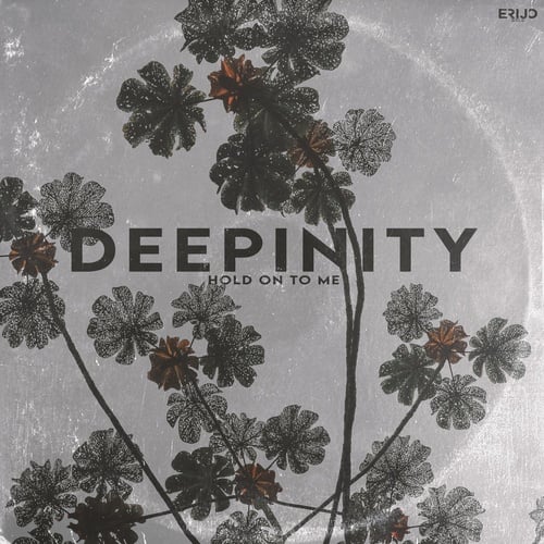 Deepinity-Hold on to Me