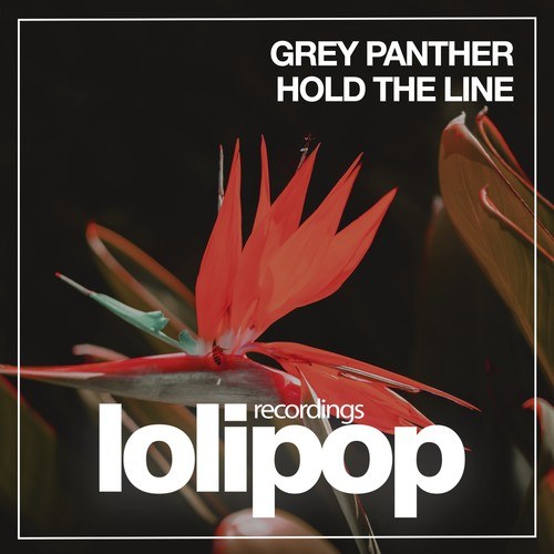 Grey Panther-Hold the Line