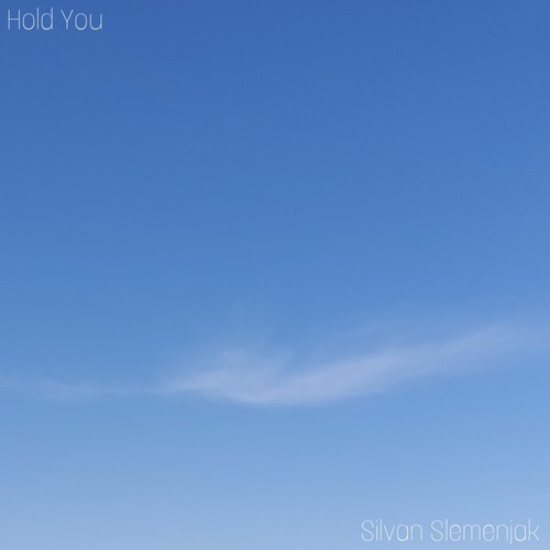 Silvan Slemenjak-Hold You