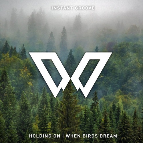Instant Groove-Holding On / When Birds Dream