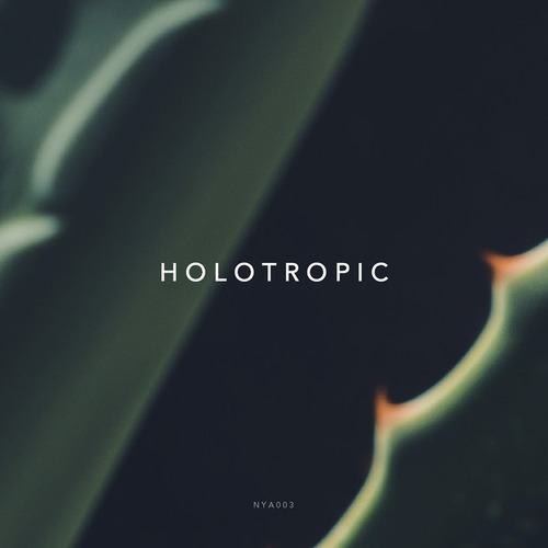 Holotropic-Holotropic