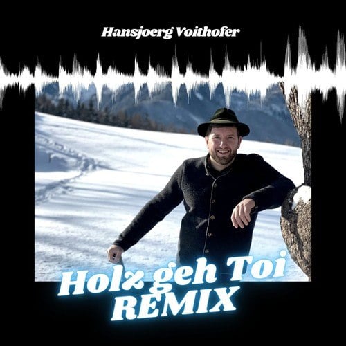 Hansjoerg Voithofer-Holz geh Toi (Remix)
