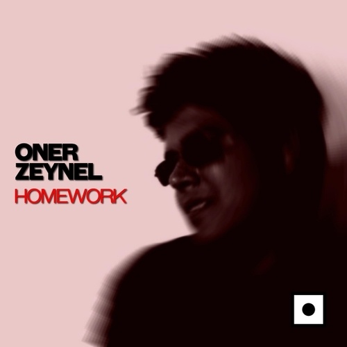 Oner Zeynel-Homework