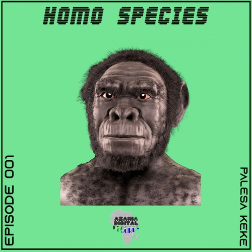 Kek'star, Palesa Keke-Homo Species