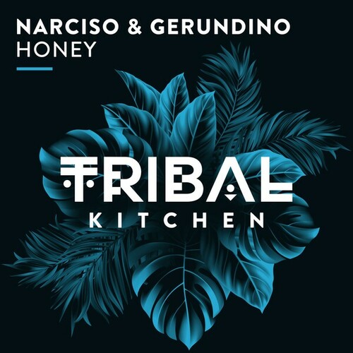 Narciso & Gerundino-Honey (Extended Mix)