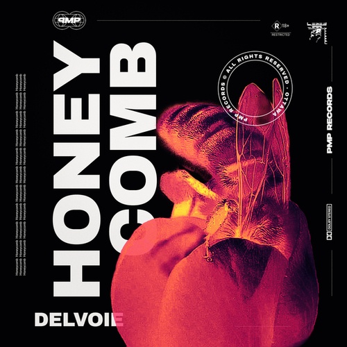 DELVOIE-Honeycomb