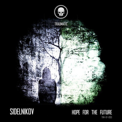 Sidelnikov-Hope for the Future