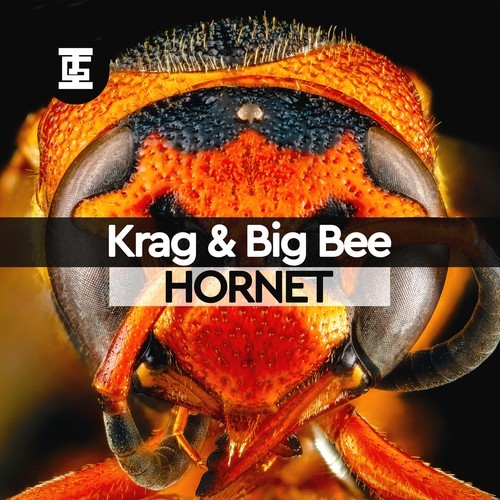 Krag & Big Bee-Hornet