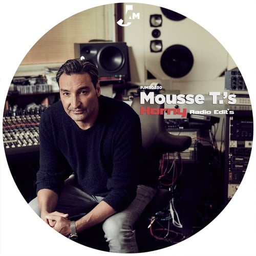Mousse T. , Hot 'N' Juicy-Horny (Radio Edit's)
