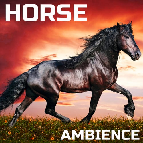 Horse Ambience