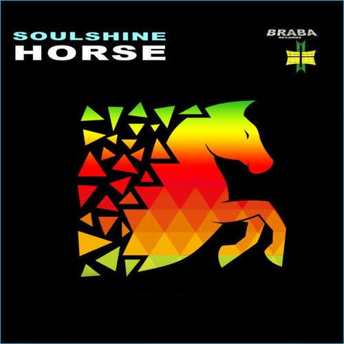 Soulshine-Horse