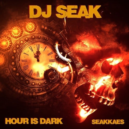 DJ Seak-Hour Is Dark