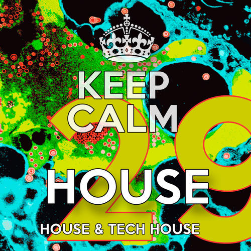 Various Artists-House 29