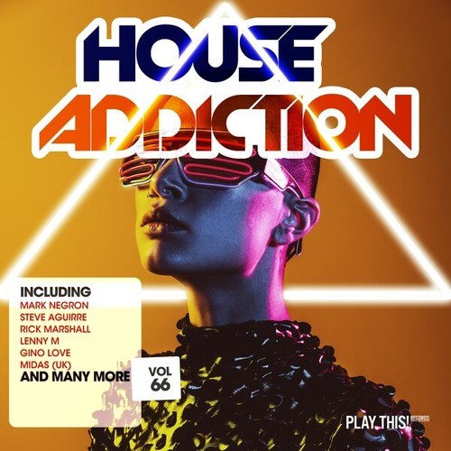 House Addiction, Vol. 66