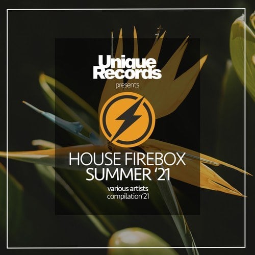 Various Artists-House Firebox Summer '21