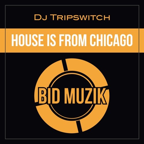 DJ Tripswitch-House Is from Chicago