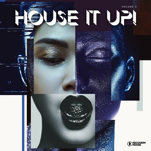 Various Artists-House It Up, Vol. 3