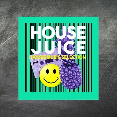Various Artists-House Juice (House Music Selection)