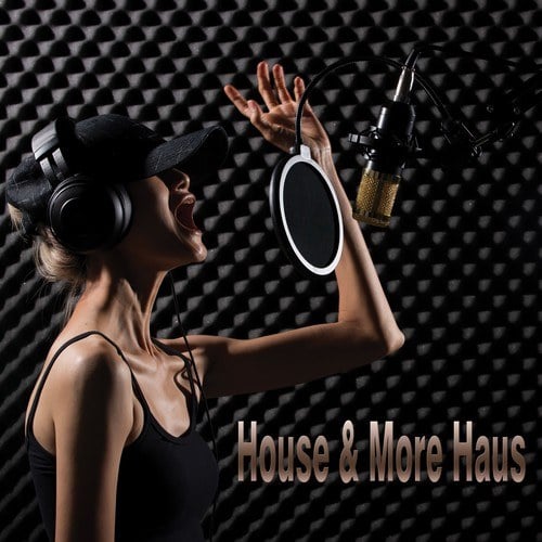 Various Artists-House & More Haus