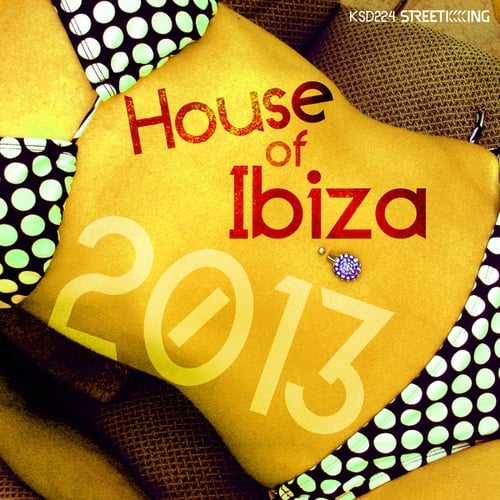 Various Artists-House of Ibiza 2013