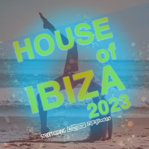 Various Artists-House Of Ibiza 2023