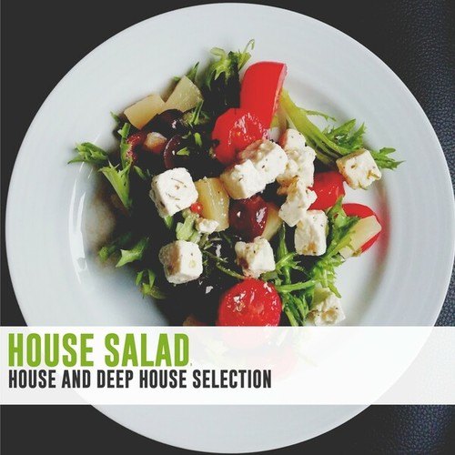 Various Artists-House Salad (House and Deep House Selection)
