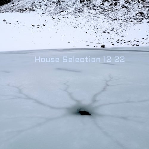 Various Artists-House Selection 12 22