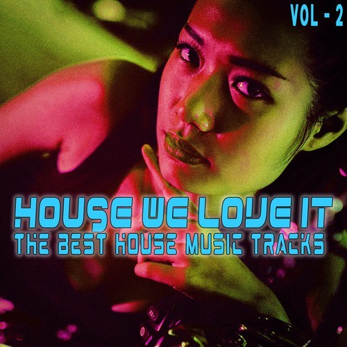 Various Artists-House, We Love It. Vol. 2 (The Best House Music Tracks)