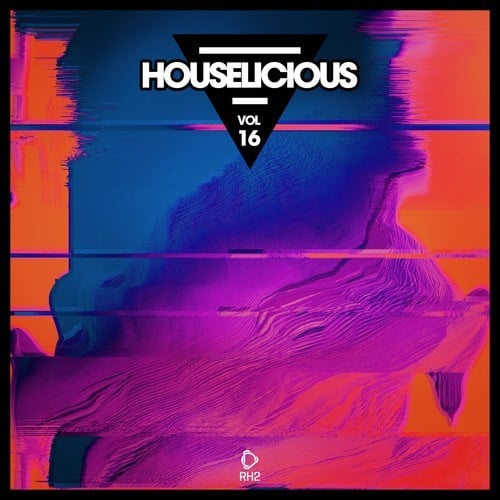 Various Artists-Houselicious, Vol. 16