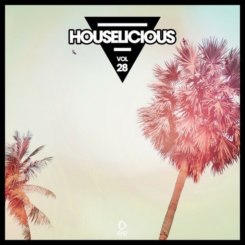 Various Artists-Houselicious, Vol. 28