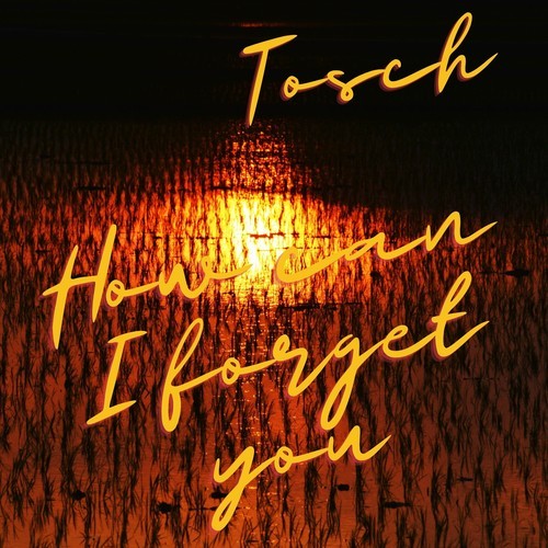 Tosch-How Can I Forget You