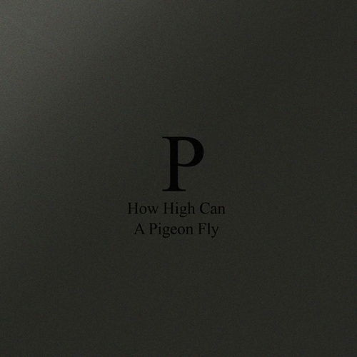 Phara-How High Can A Pigeon Fly