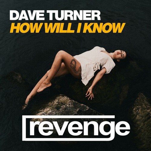 Dave Turner-How Will I Know