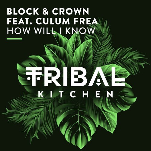 Culum Frea, Block & Crown-How Will I Know (Extended Mix)
