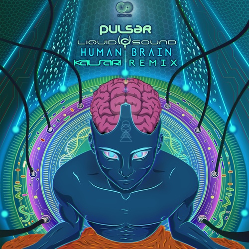 Pulsar, Liquid Sound, Kalsari-Human Brain (Kalsari Remix)